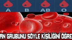 Kan grubuna göre kişilik analizi şaşırmaya hazır mısınız?