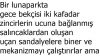 Akıl Almaz Vakalar