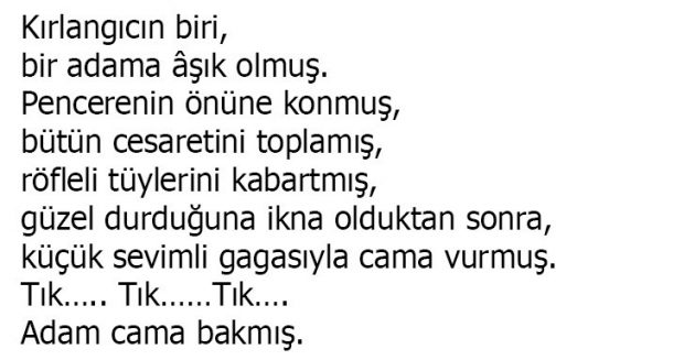 Kırlangıcın Aşkı