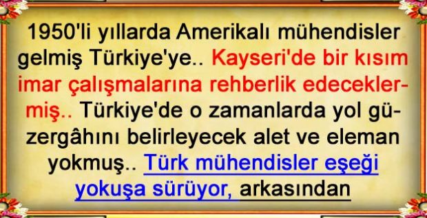 Amerikalı Eşek Hikayesi