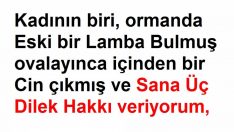 Kadının 3. Dileği Çok Zekice Gerçekten