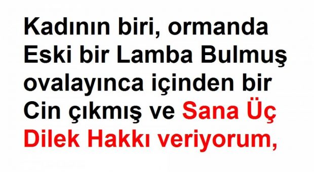 Kadının 3. Dileği Çok Zekice Gerçekten