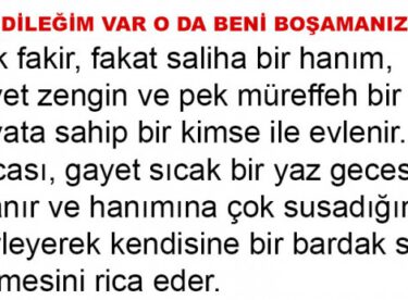 BİR DİLEĞİM VAR O DA BENİ BOŞAMANIZDIR