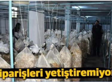 10 bin lira ile başladı, şimdi siparişleri yetiştiremiyor