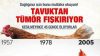Çin tüm tavuk üretimlerini yasaklama kararı aldı
