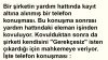 Hayat Bazen Sınırlarımızı Zorlar