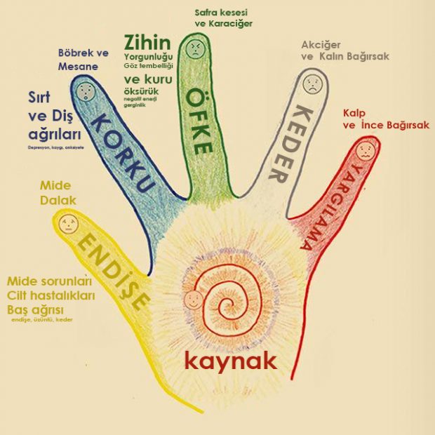 5 Dakikalık El Egzersizi ile Duygularınızı İyileştirin.