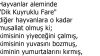 Dik Kuyruklu Fare