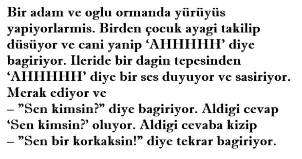 YAŞAMIN YANKISI
