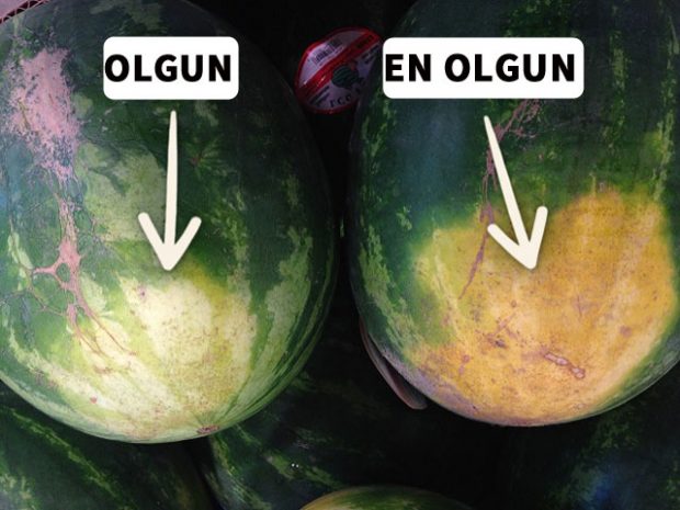 Çiftçilerden iyi karpuz seçme yöntemi