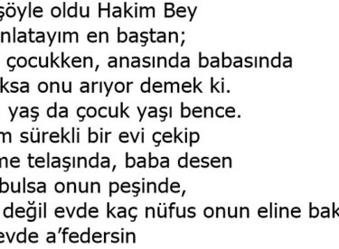 Anlatayım Olayı Hakim Bey