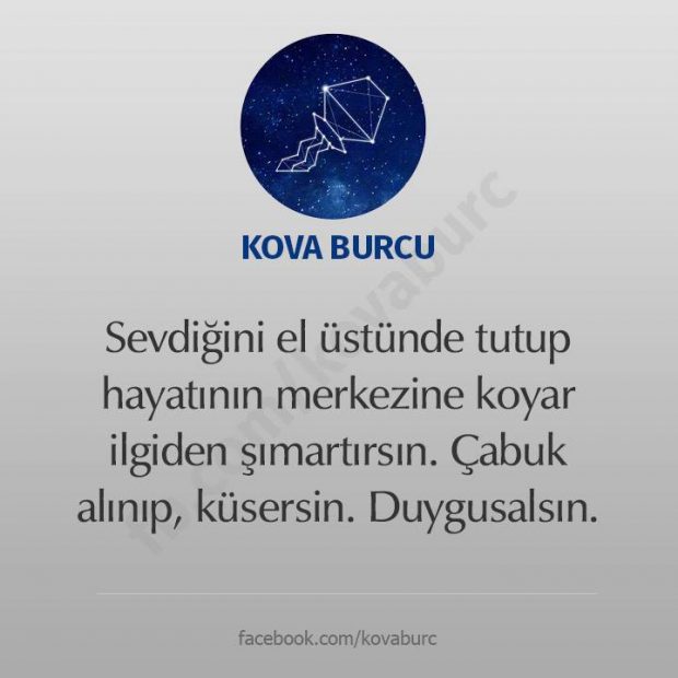 Burcunuz ve en önemli özellikleri