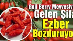 Goji Berry Meyvesiyle Gelen Şifa Ezber Bozduruyor