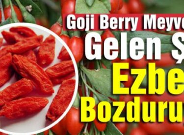 Goji Berry Meyvesiyle Gelen Şifa Ezber Bozduruyor