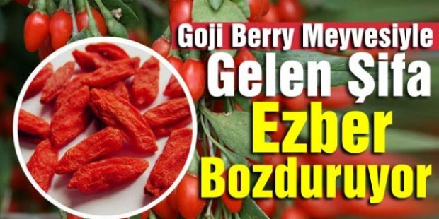 Goji Berry Meyvesiyle Gelen Şifa Ezber Bozduruyor