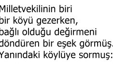 Akıllı Eşek