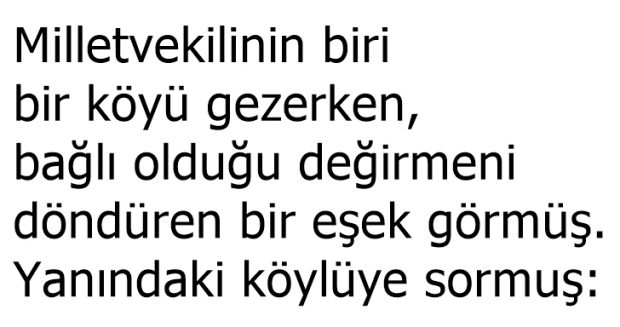 Akıllı Eşek