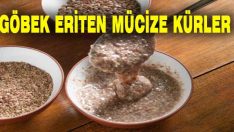 Göbek Yağlarinizi Eriten Mucize Kürler