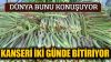 Kansere karşı oldukça etkili bir bitki