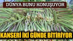 Kansere karşı oldukça etkili bir bitki