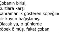 Miras