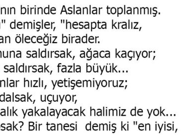 Öküz Derken Neyi Kastettiğimizi Anlamayanlara Gelsin Bu Öykü