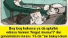 Angut Kuşunun Hikâyesi…