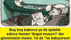 Angut Kuşunun Hikâyesi…