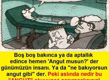 Angut Kuşunun Hikâyesi…