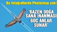 Bu fotoğraflarda Photoshop yok!