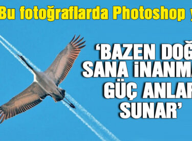 Bu fotoğraflarda Photoshop yok!