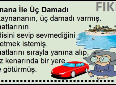 Kaynana damatlarını böyle test etti