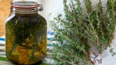 BU BİR MUCİZE! BAŞ AĞRISI, ROMATİZMA, ÖKSÜRÜK, İLTİHAPLI YARALAR… HEPSİNE ŞİFA OLACAK..
