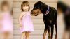 Köpeği Kızını Isırınca Önce Çok Şaşırdı – Nedenini Anlayınca Köpeğini Daha Da Sevdi