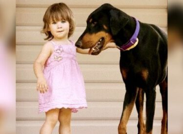 Köpeği Kızını Isırınca Önce Çok Şaşırdı – Nedenini Anlayınca Köpeğini Daha Da Sevdi