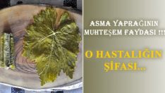 Meğer Varisin Şifası Asma Yaprağındaymış