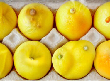 Meme Kanserinin En Yaygın Belirtileri Limonlarla Tasvir Edildi – İşte O Yaygın Belirtiler