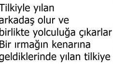 Tilki İle Yılan Hikayesi