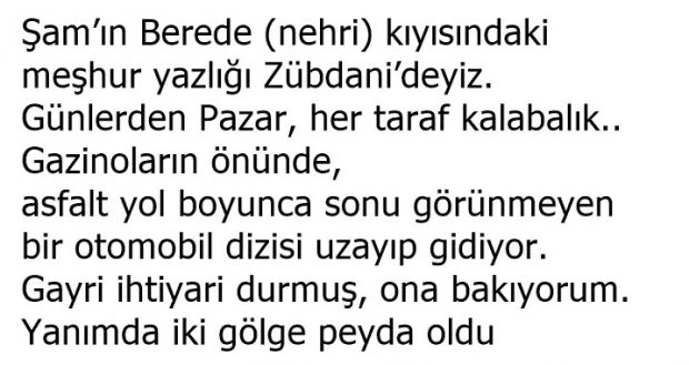 Bayrak Hasreti