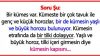 Horoz ve Tilki