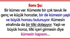 Horoz ve Tilki
