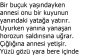 Bahe Amca