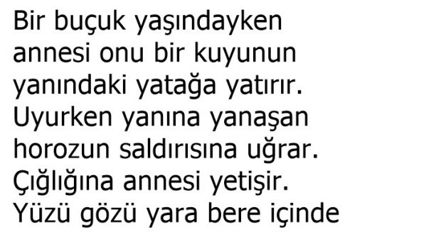 Bahe Amca