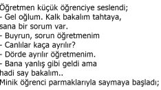 Canlılar Kaça Ayrılır?