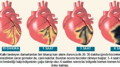 Kalp krizinde hayat kurtaran yöntemler İlk 60 Saniyede İşte Bu Yöntemle Hayatını Kurtarabilirsiniz