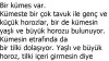 Horoz ve Tilki Hikayesi