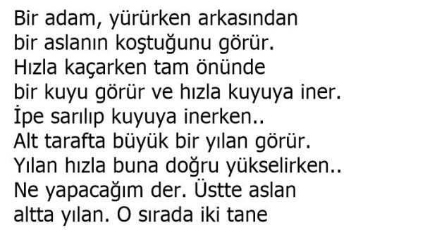 Hayat Bir Rüya