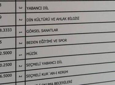 8 zayıfla öğrenci geçer mi evet mevcut sistemde geçiyor peki nasıl geçiyor?