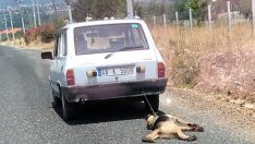 Köpeği otomobilin arkasında sürükleyen kişinin cezası belli oldu bakın cezası ne oldu