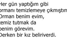 Kurdun Ağzından “Kırmızı Başlıklı Kız” Masalı